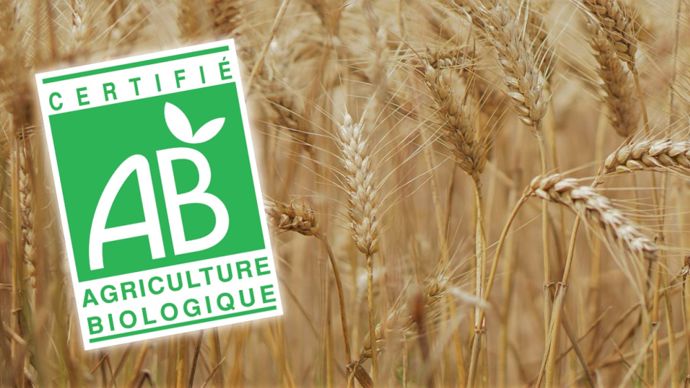 3b2452f7-3-face-a-la-crise-du-bio-les-agriculteurs-d-occitanie-font-le-dos-rond