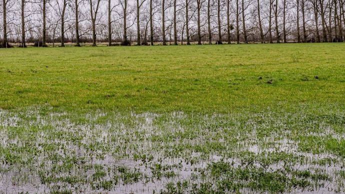 e72cbe5e-e-les-nappes-phreatiques-en-situation-tres-fragile-en-languedoc-roussillon