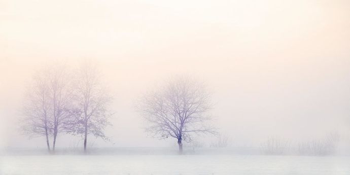 paysage-hiver2