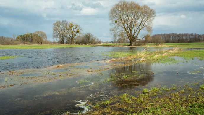 079c5fe6-6-les-inondations-consequences-indirectes-du-changement-climatique