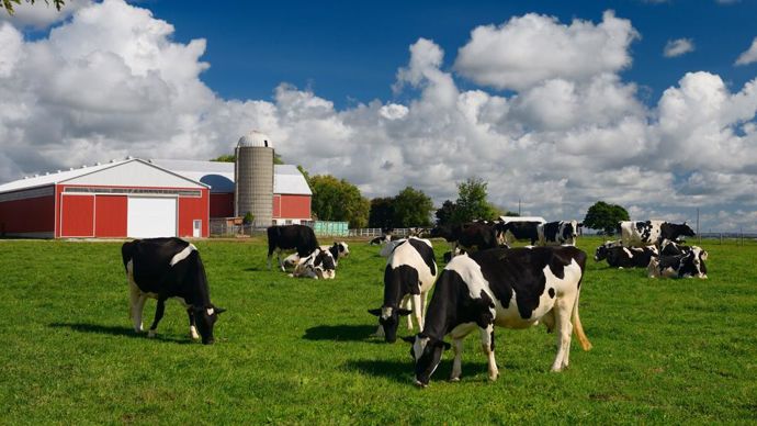 ferme-canada