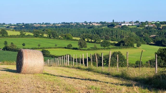 7e7611e1-7-le-senat-termine-l-examen-du-projet-de-loi-d-orientation-agricole